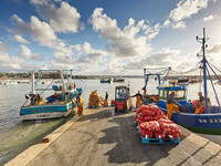 Le port d'Erquy, premier port breton pour la pêche à la coquille Saint-Jacques